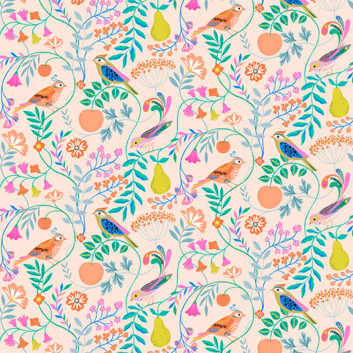 Songbird by Bethan Janine for Dashwood - Jays