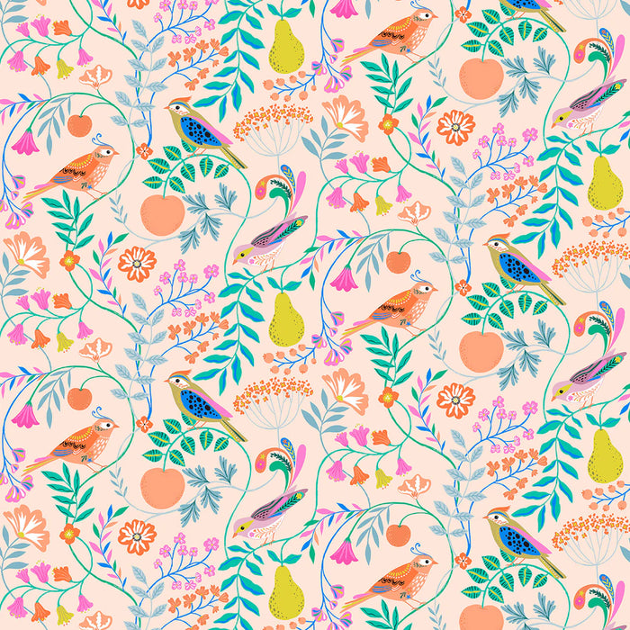 Songbird by Bethan Janine for Dashwood - Jays