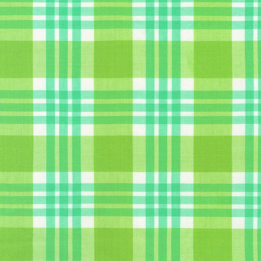 Green and white plaid pattern
