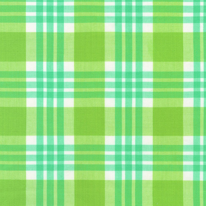 Green and white plaid pattern