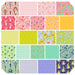 Designer Bundle - Tula Pink Besties FULL COLLECTION 22 x FQ