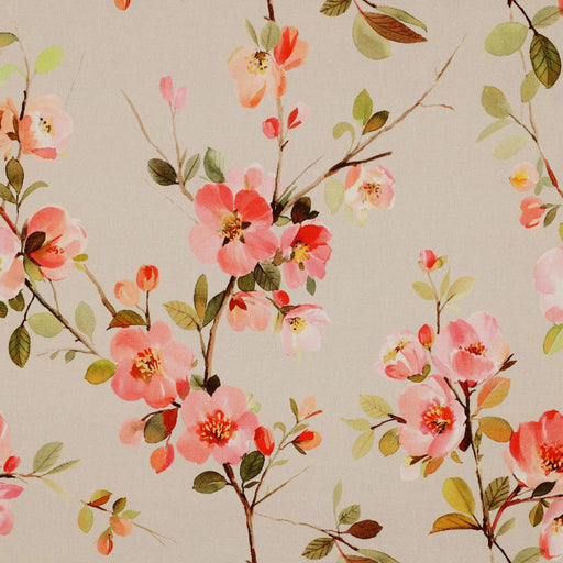 Verhees Cotton Canvas/Duck - Cherry Blossom on Mocha