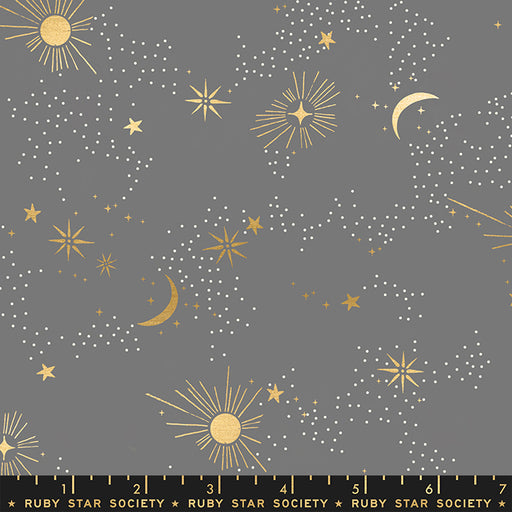 Florida by Sarah Watts - Cosmos in Slate Gray - Metallic