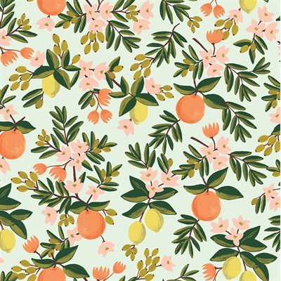 Primavera by Rifle Paper Company - Citrus Floral in Mint