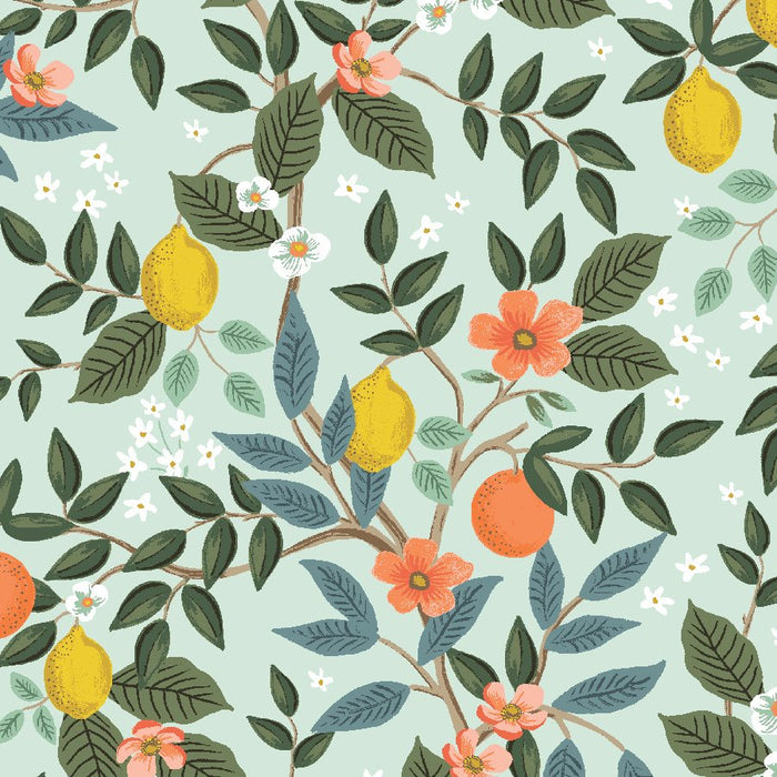Bramble by Rifle Paper Company -  Citrus Grove in Mint