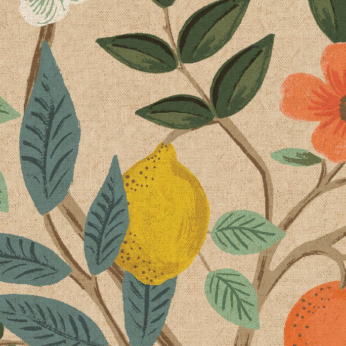 Bramble CANVAS by Rifle Paper Company - Citrus Grove in unbleached in ...