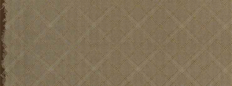 Carolyn Friedlander - Collection CF - Grid with Single Border in Brown