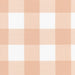 Carolina Gingham - LIngerie 2" Check