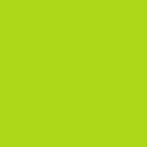 ColorWorks Solids - Lime