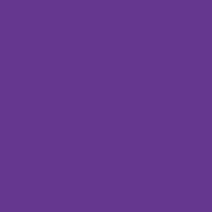 ColorWorks Solids - Pansy