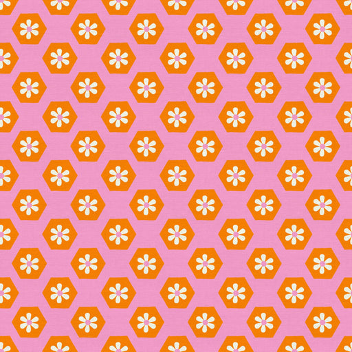 Sunshine Inn by Lysa Flower - Groovy Floral in Pink/Red