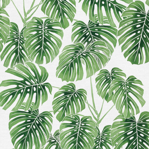 Modern Botanicals - Monstera