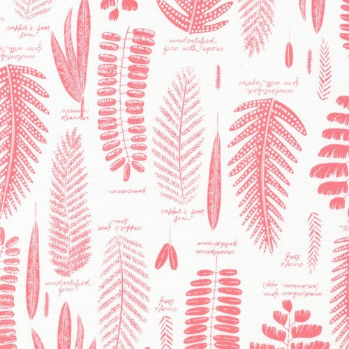 Biology Pressed Leaf Pink