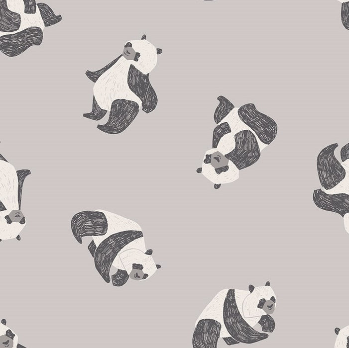 Rae Ritchie New Here - Pandas in Fog