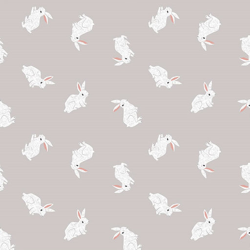Rae Ritchie New Here - Bunnies in Fog