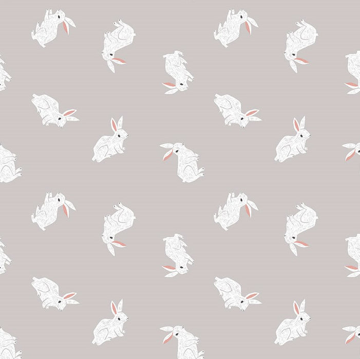 Rae Ritchie New Here - Bunnies in Fog