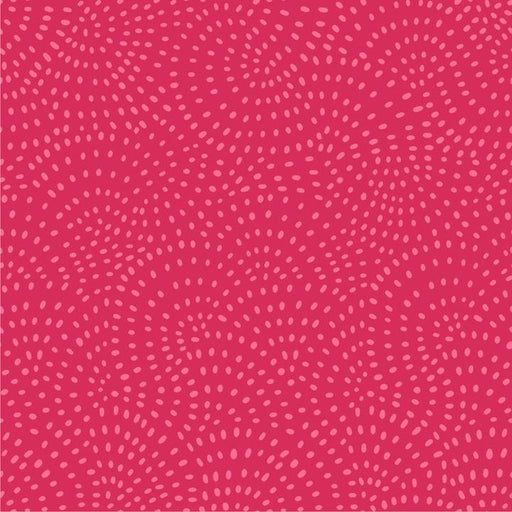 Dashwood Twist Sorbet