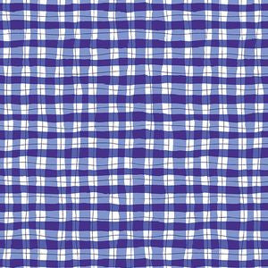 Garden Party  Painted Gingham Blue