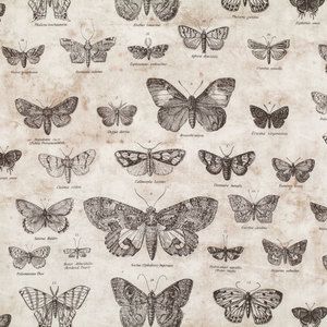 Tim Holtz Foundations - Eclectic Elements - Butterfly in Taupe