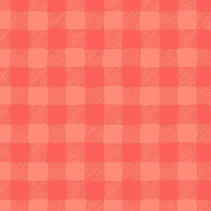 Trail Mix by Rae Ritchie - Gingham Coral