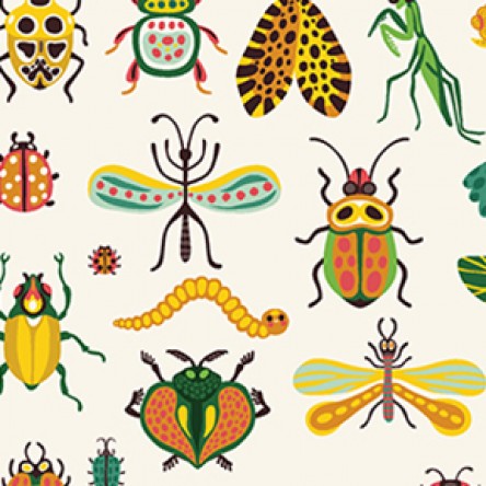 Beetlemania by Helen Dardik - Specimens 